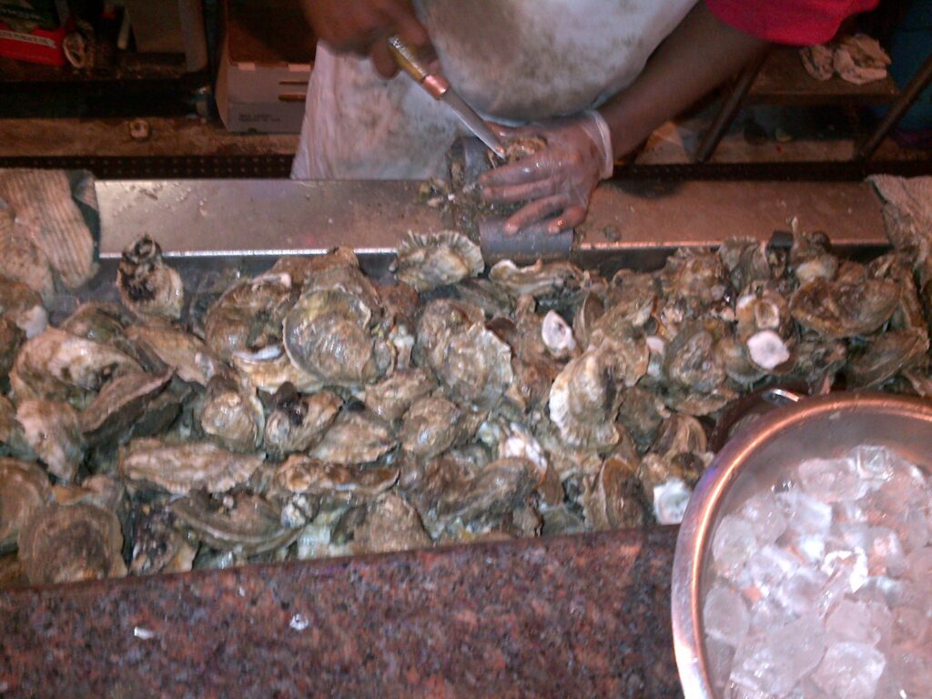 Picture of Large Oysters